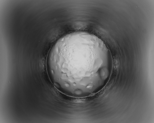 X0000094360664200711162051