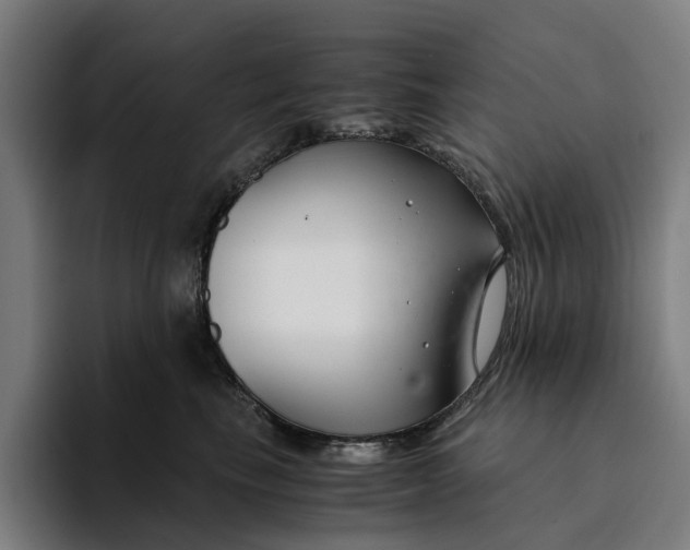 X0000094360665200711162051