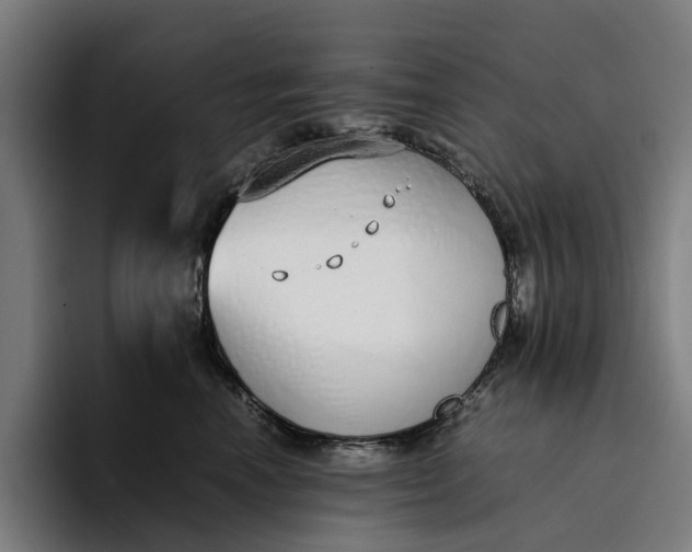 X0000094360666200711162051