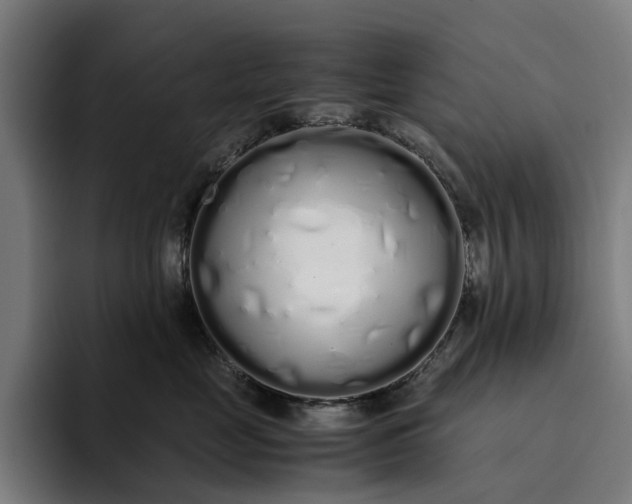 X0000094360669200711162051