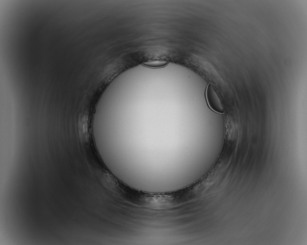 X0000094360670200711162051