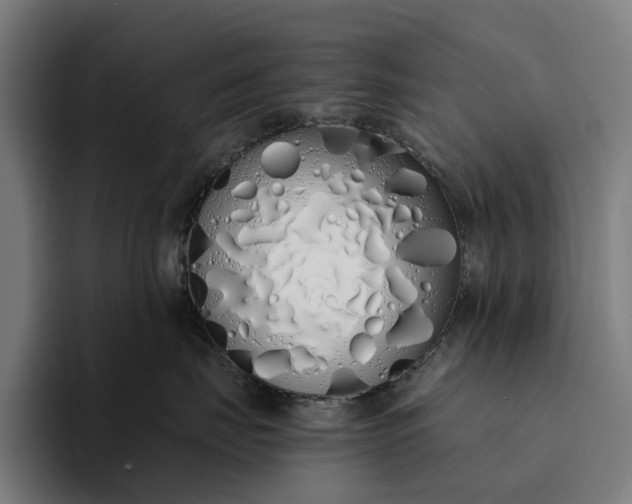 X0000094360671200711162051