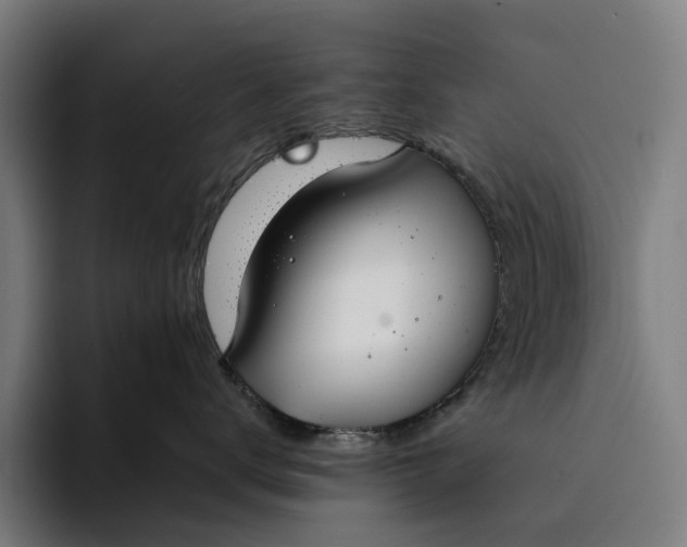 X0000094360672200711162051