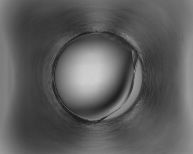 X0000094360673200711162051