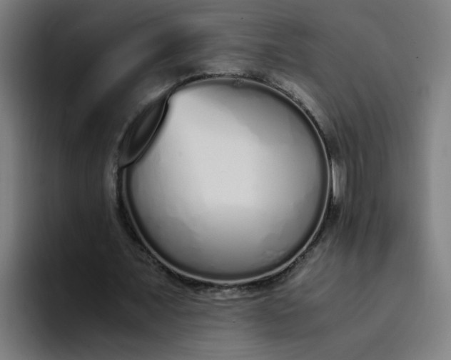 X0000094360675200711162051