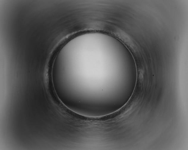 X0000094360676200711162051