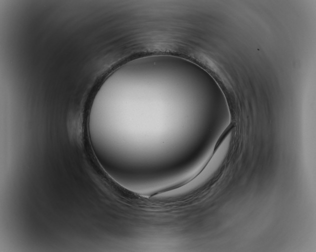 X0000094360677200711162051