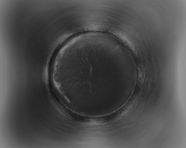 X0000094360678200711162051