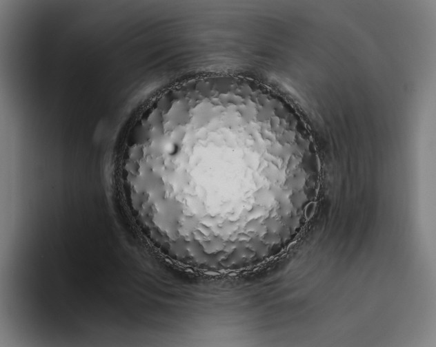 X0000094360679200711162051