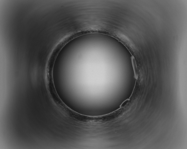 X0000094360680200711162051