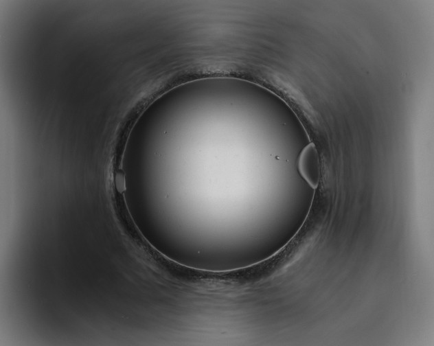 X0000094360681200711162051