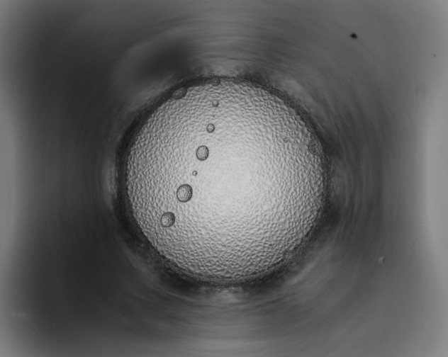 X0000094360683200711162051