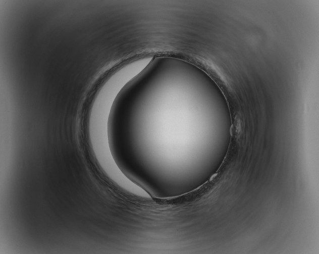 X0000094360684200711162051