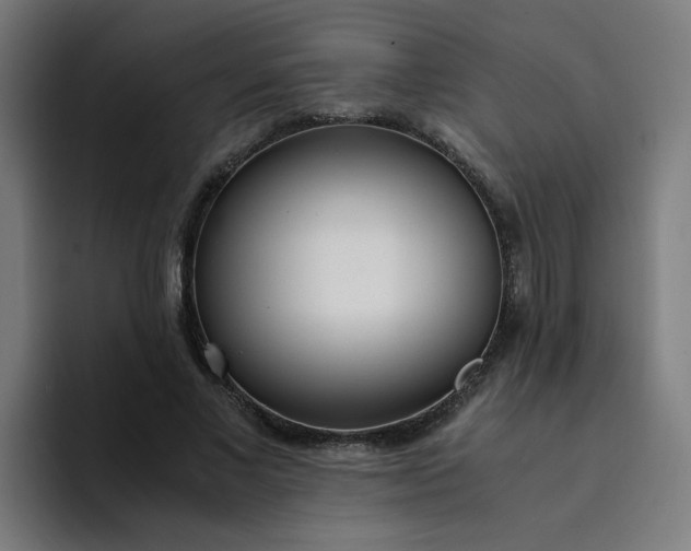 X0000094360685200711162051