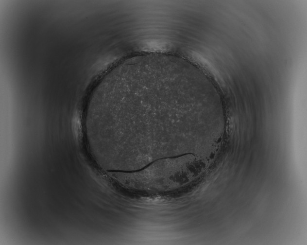 X0000094360688200711162051