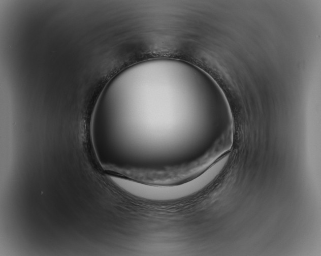 X0000094360689200711162051