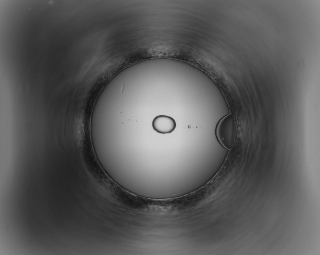 X0000094360690200711162051