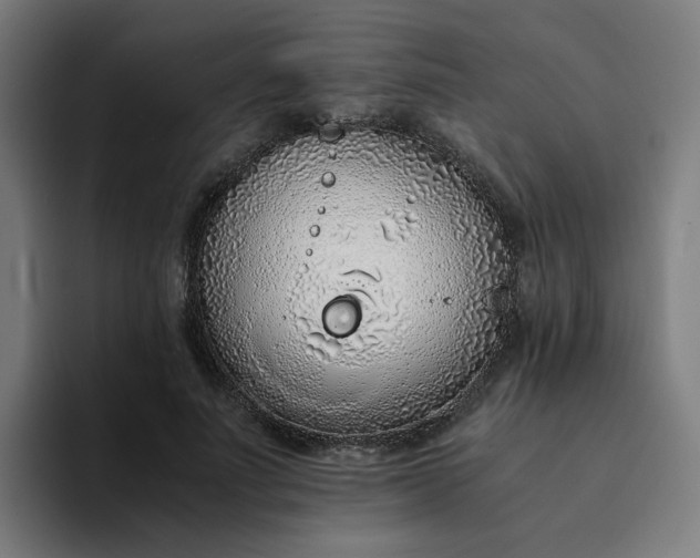 X0000094360691200711162051