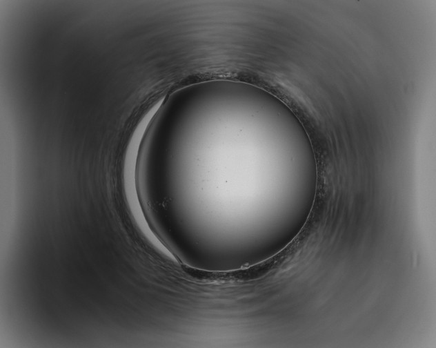 X0000094360693200711162051