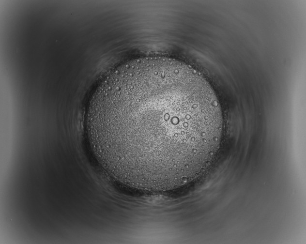 X0000094360695200711162050