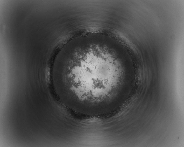 X0000094360696200711162050