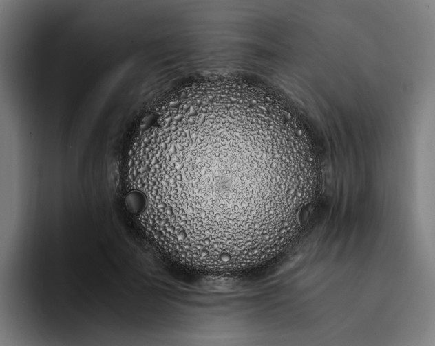 X0000094360699200711162050