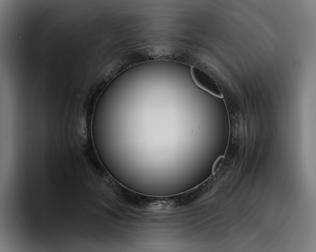 X0000094360700200711162050