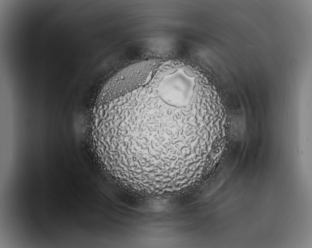 X0000094360701200711162050