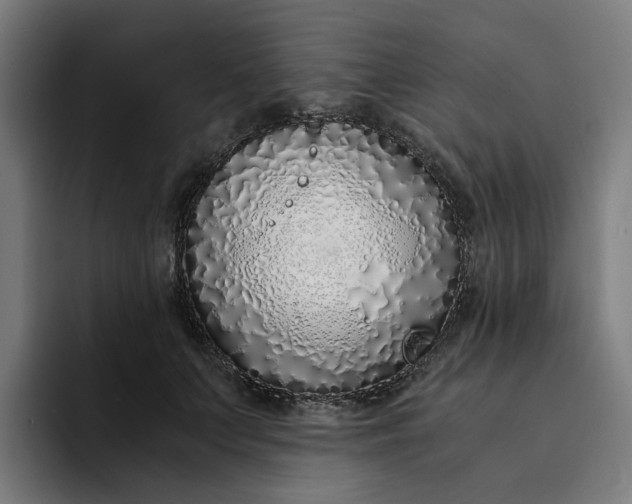 X0000094360703200711162050