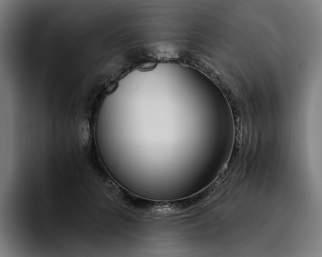 X0000094360704200711162050