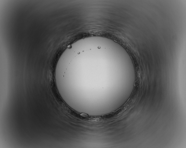 X0000094360705200711162050