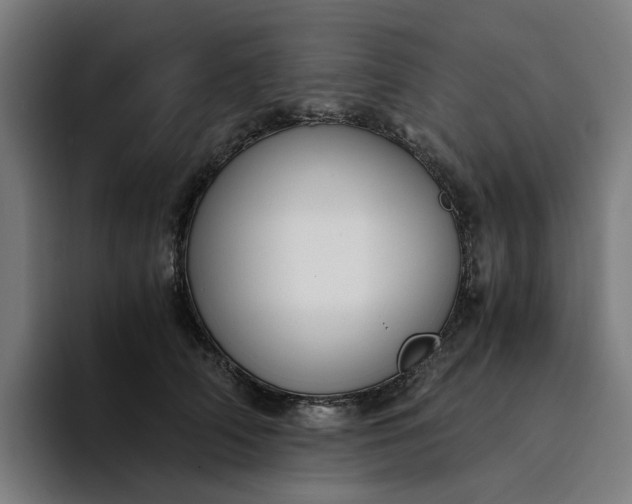 X0000094360706200711162050