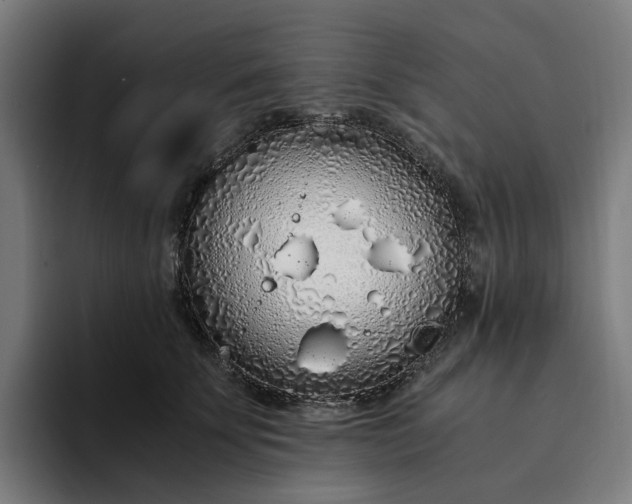 X0000094360707200711162050