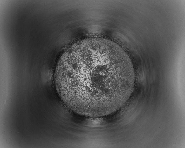 X0000094360711200711162050