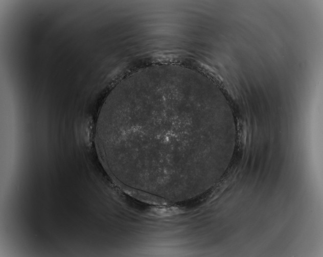 X0000094360712200711162050