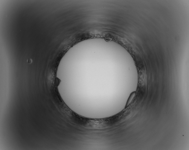 X0000094360713200711162050