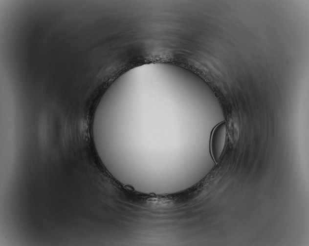 X0000094360714200711162050