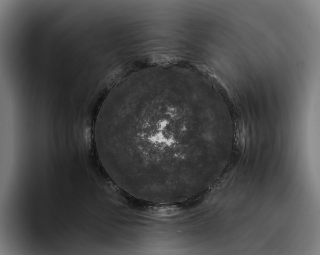 X0000094360716200711162050