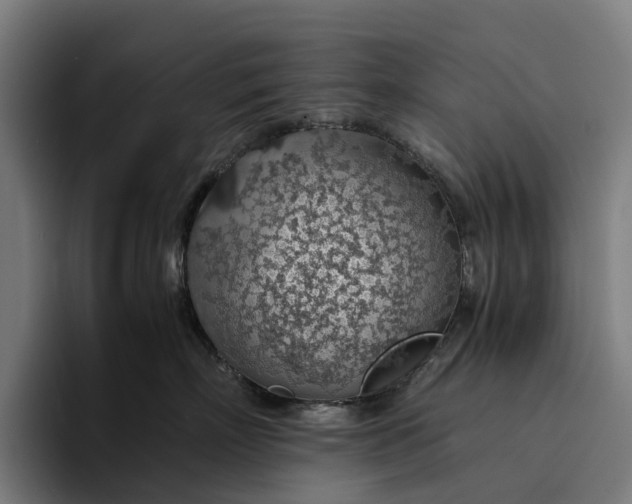 X0000094360718200711162050