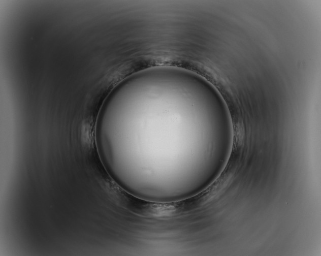 X0000094360719200711162050