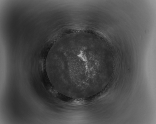 X0000094360720200711162050