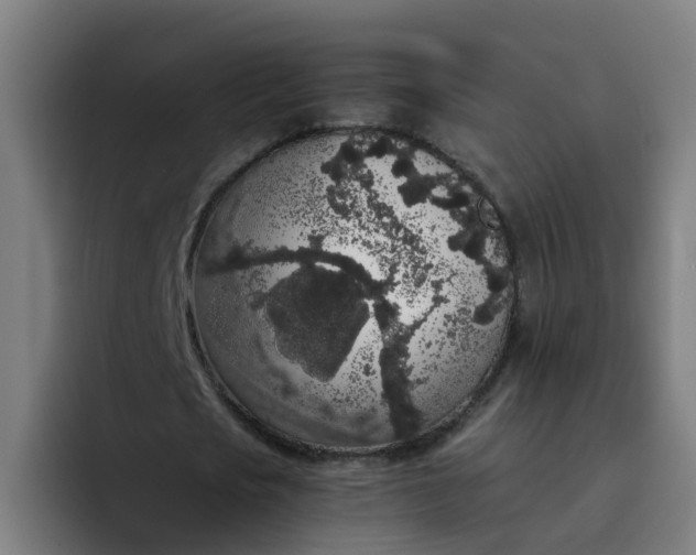 X0000094360721200711162050