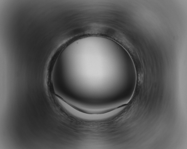 X0000094360724200711162050