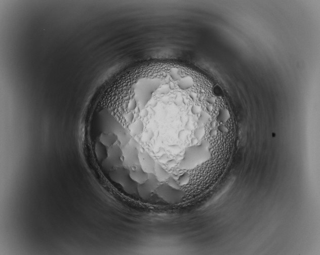 X0000094360725200711162050