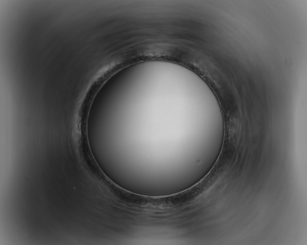 X0000094360727200711162050