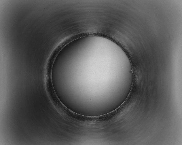 X0000094360728200711162050