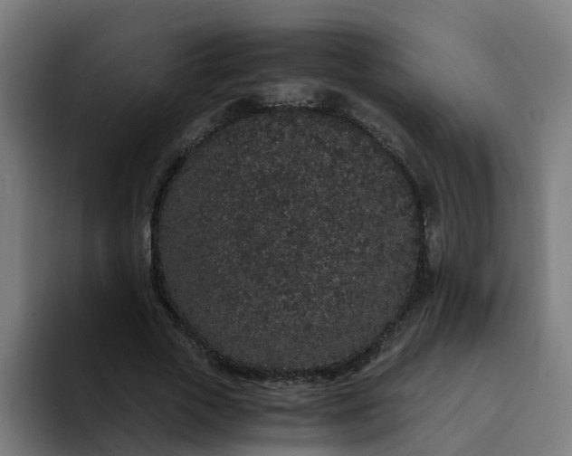 X0000094360729200711162050