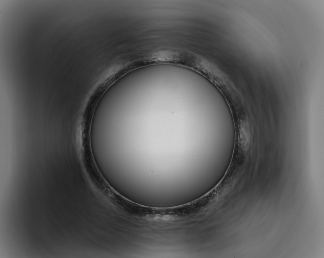 X0000094360730200711162050