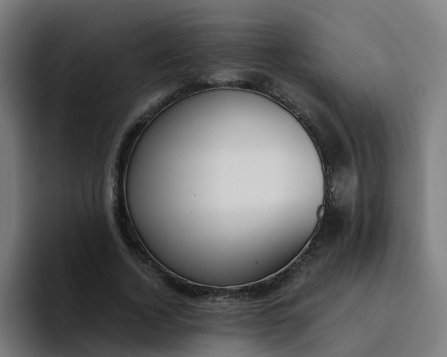 X0000094360732200711162050