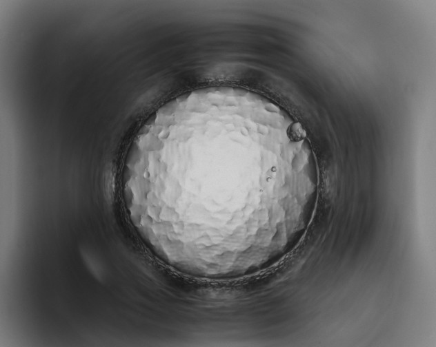 X0000094360733200711162050